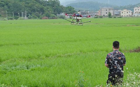 植保无人机统防统治水稻病虫害 成本低效率高