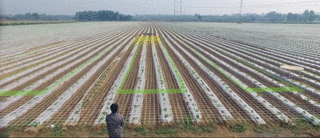 无人机技术推动智慧农业变革