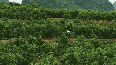 利用测绘无人机技术，对地形复杂的农业生产区进行三维建模