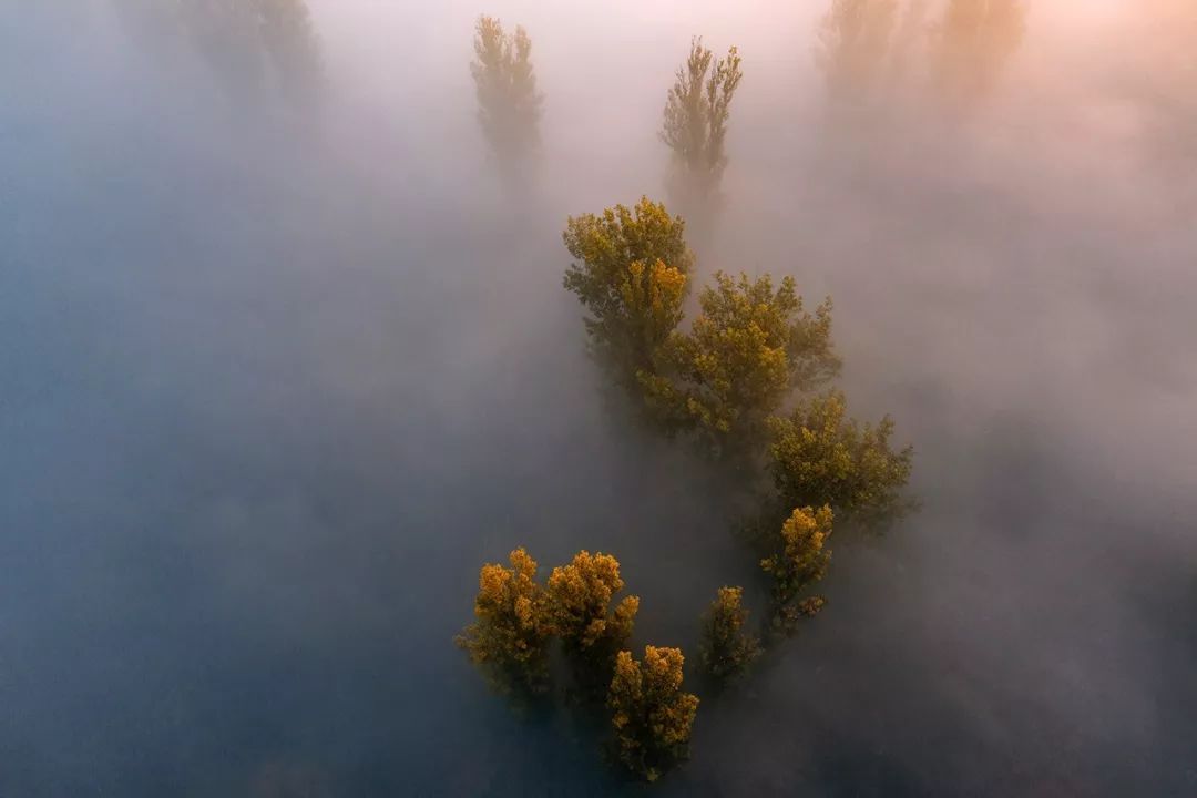 林中雾景的拍摄技巧