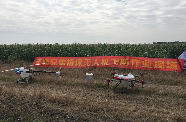 植保无人机从空中对玉米进行病虫害防治