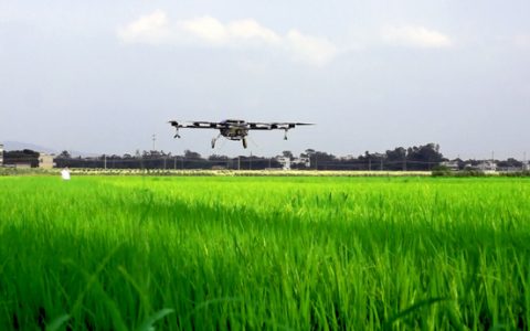 无人机技术将用于农场的杂草控制