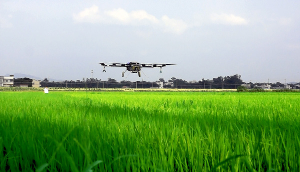 无人机可以从空中识别出杂草
