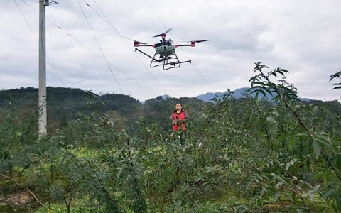 植保无人机助力花椒生产节本增效
