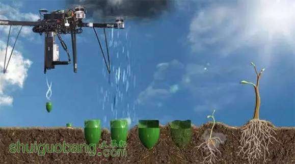 台多轴无人机可以将种子喷射到特定或理想的种植地点