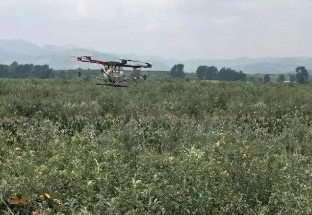 ，无人机喷洒农药