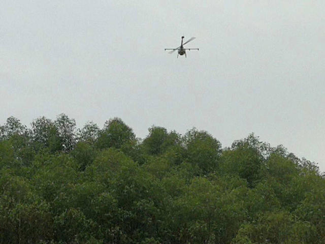 四川夹竹县森林油桐尺蠖病虫害统防统治，采用植保无人机TY-787进行飞防作业。