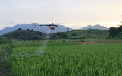 惠东县水稻病虫害防治用上了植保无人机