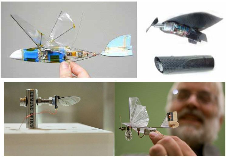 微小型扑翼飞行器典型代表