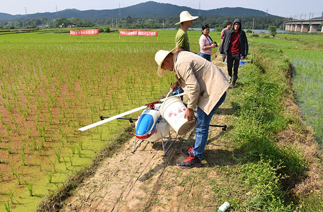 吉安县利用植保无人机统防统治水稻病虫害