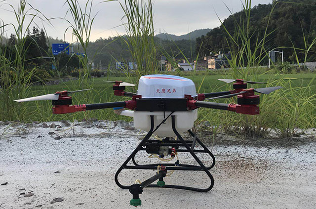 植保无人机对该县1000多亩水稻统一进行施药