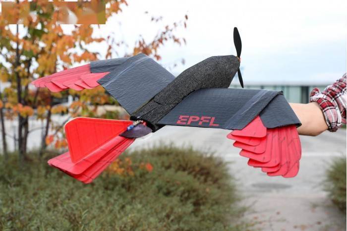 瑞士EPFL羽毛无人机