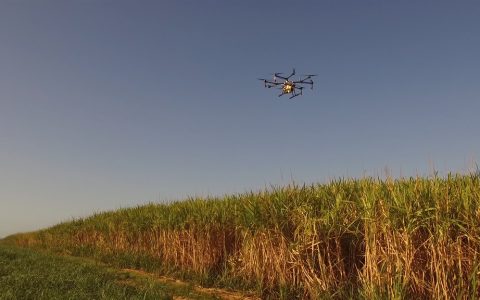 在南非，使用无人机喷洒农药是一种新的植保方式