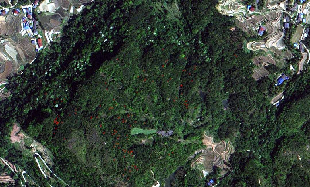 遥感技术助力应急测绘 无人机监控森林火灾、病虫害