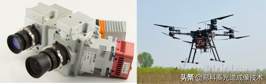 Ecodrone®高光谱-红外热成像无人机遥感技术——森林病虫害监测