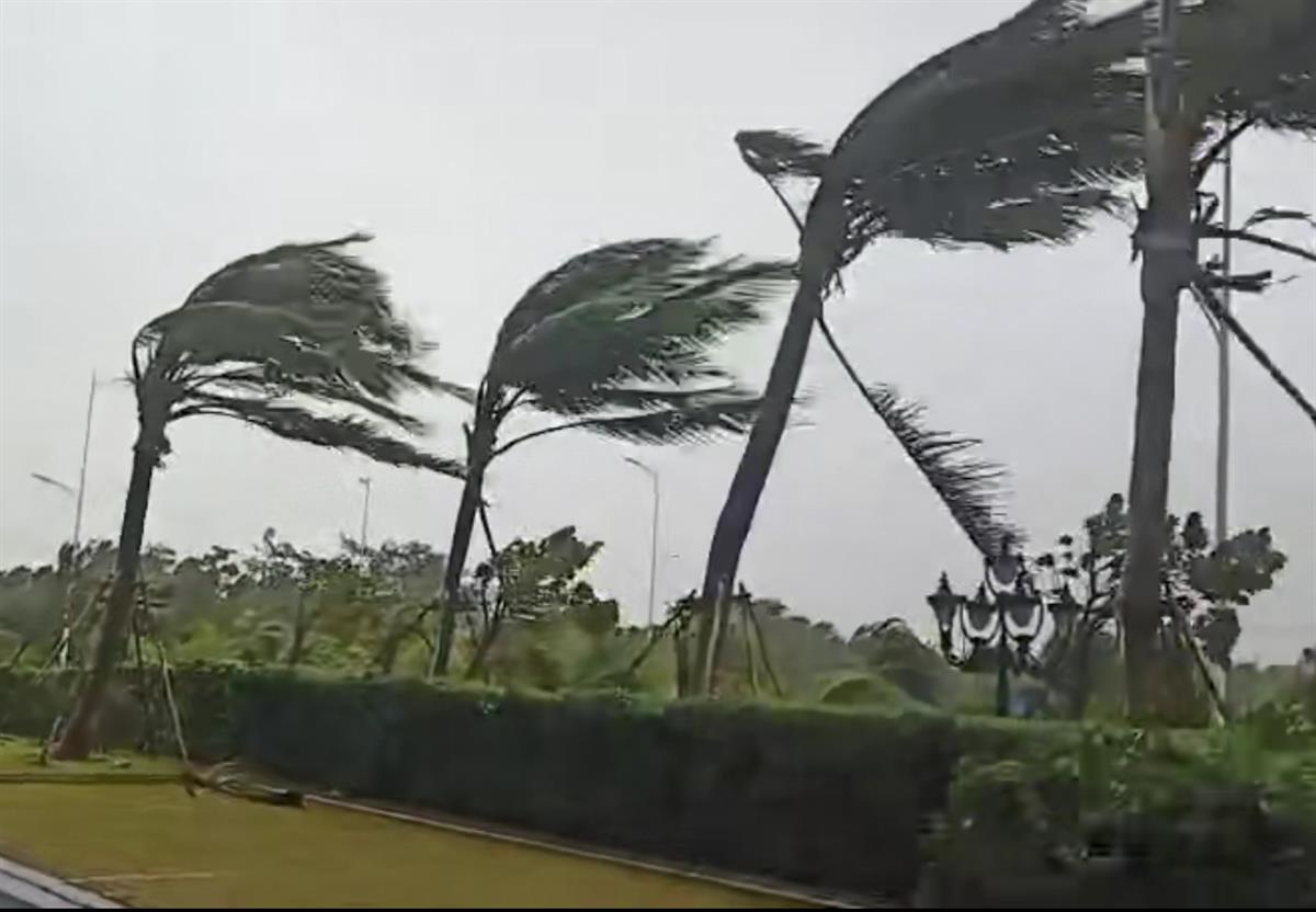 台风“圆规”登陆海南琼海，多地海水倒灌，倒伏树木超3000棵