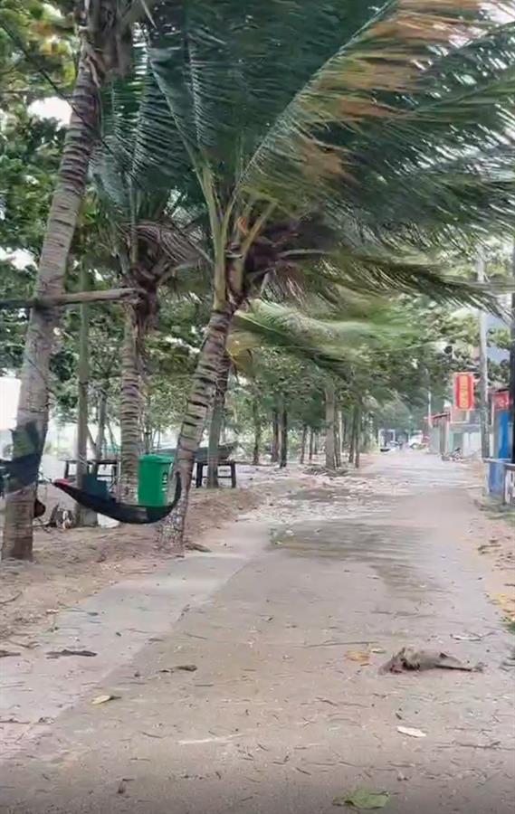 台风“圆规”登陆海南琼海，多地海水倒灌，倒伏树木超3000棵